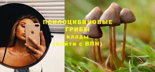 a pvp Абинск