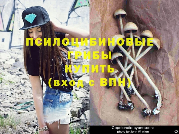 MDMA Premium VHQ Абдулино