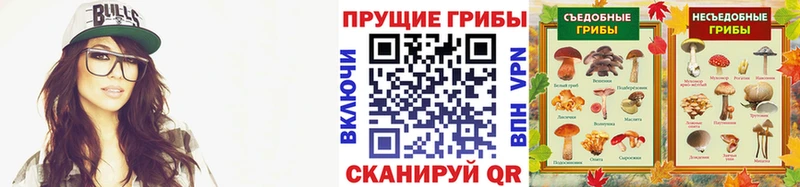 Галлюциногенные грибы прущие грибы Приозерск